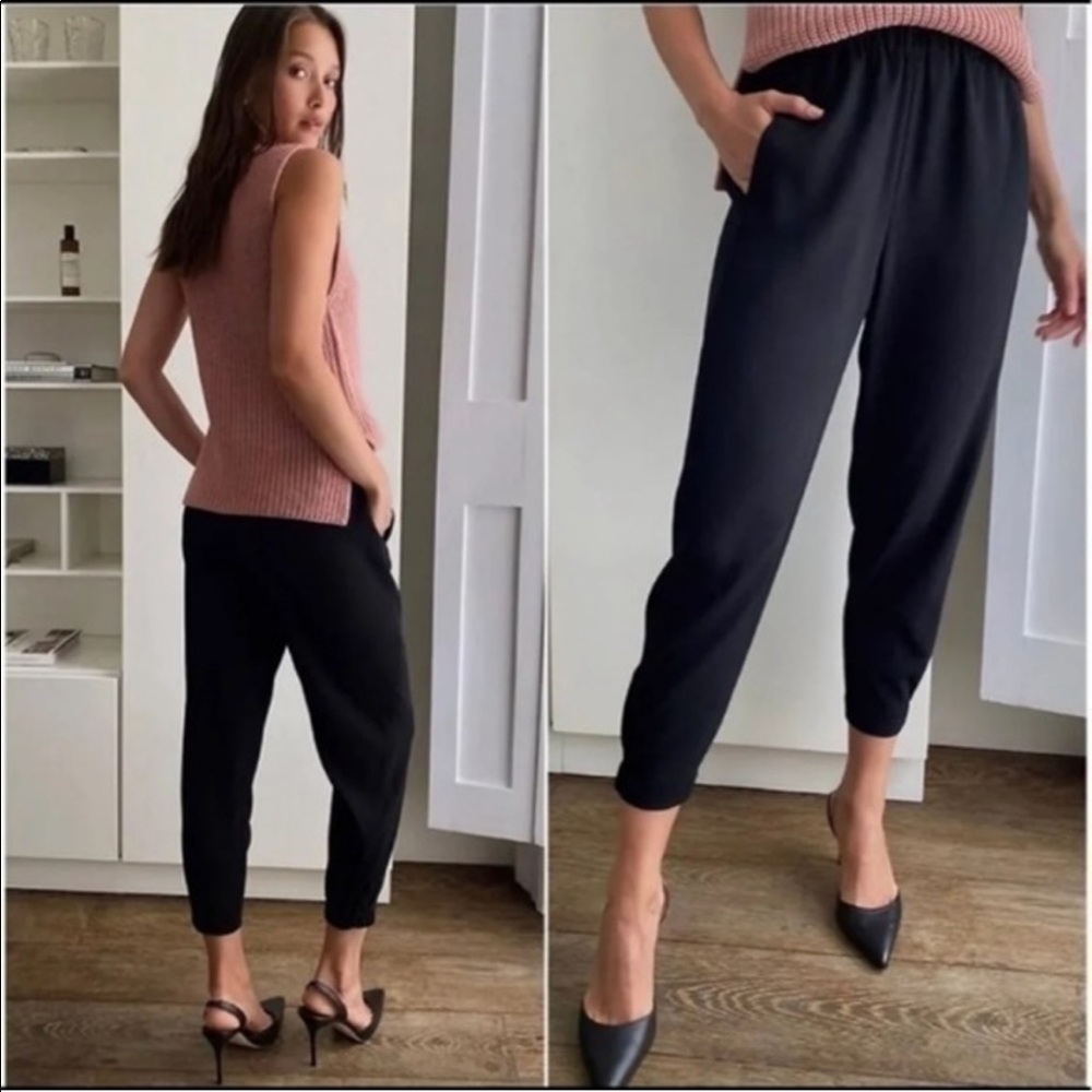 Aritzia Babaton Trouser Pants